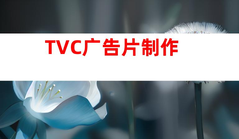 TVC广告片制作